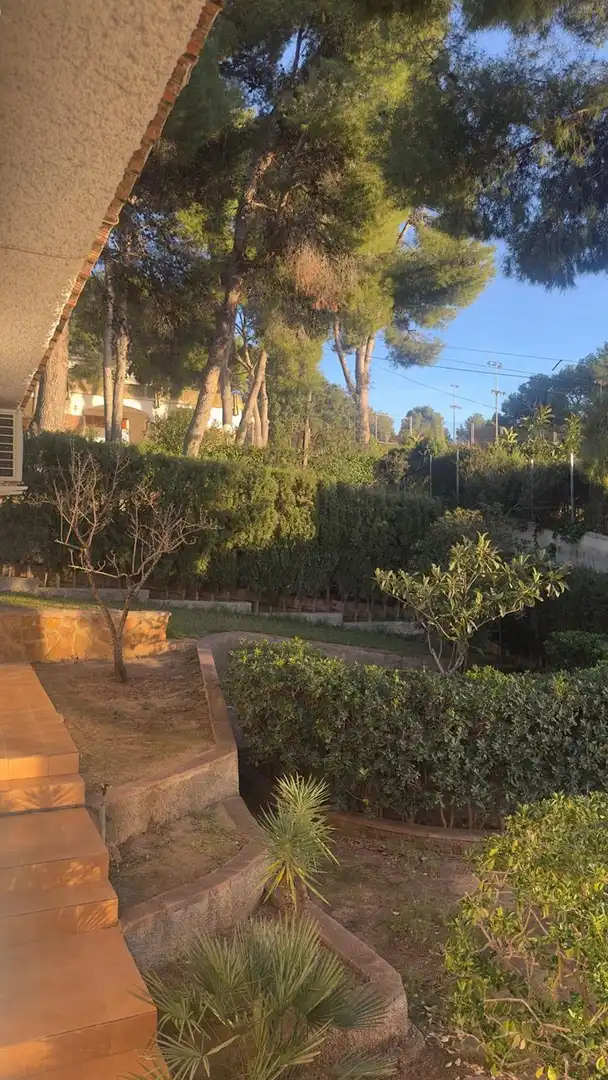 Finca rústica de alquiler en FUENTE DEL ORO, San Miguel - El Paraiso