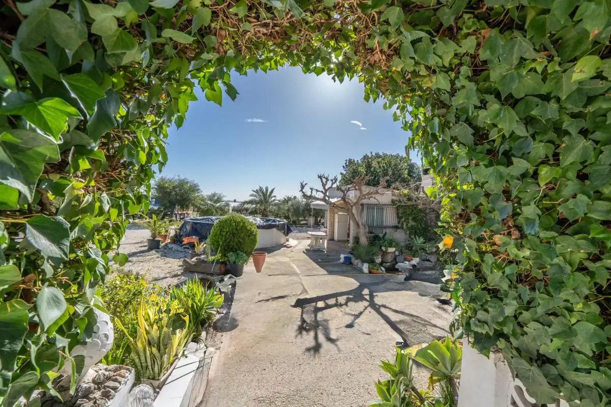Vista exterior de Casa o xalet en venda en Crevillent amb Aire condicionat, Calefacció i Jardí privat