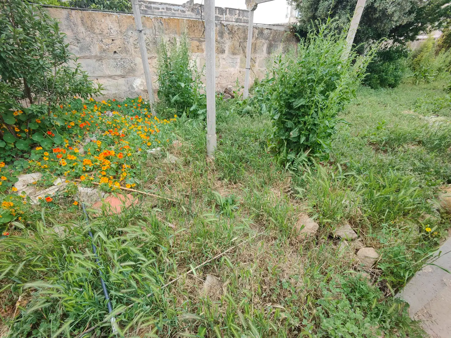 Residencial en venta en Llucmajor