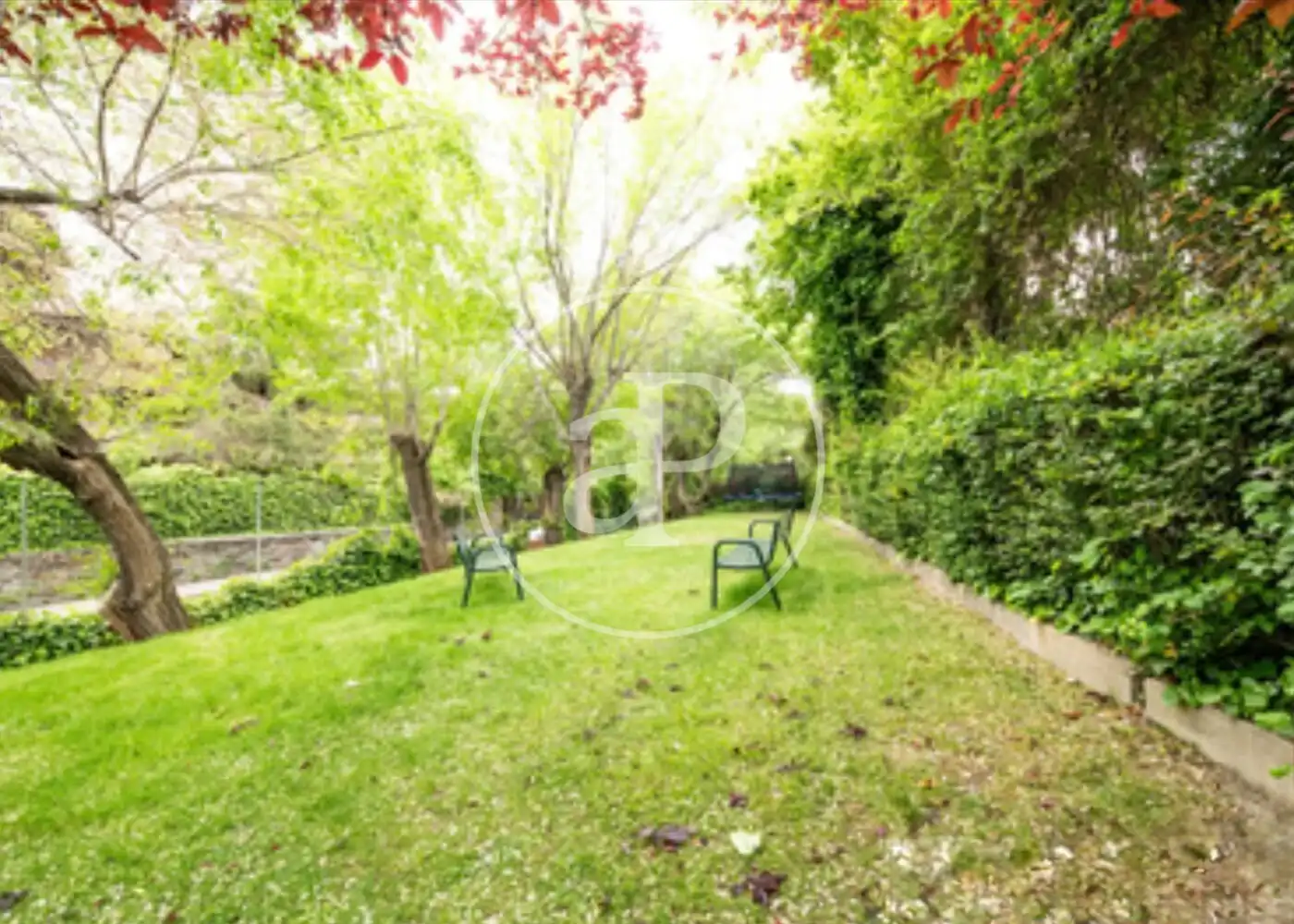 Jardín de Casa o chalet en venta en La Moraleja con Aire acondicionado, Calefacción y Jardín privado