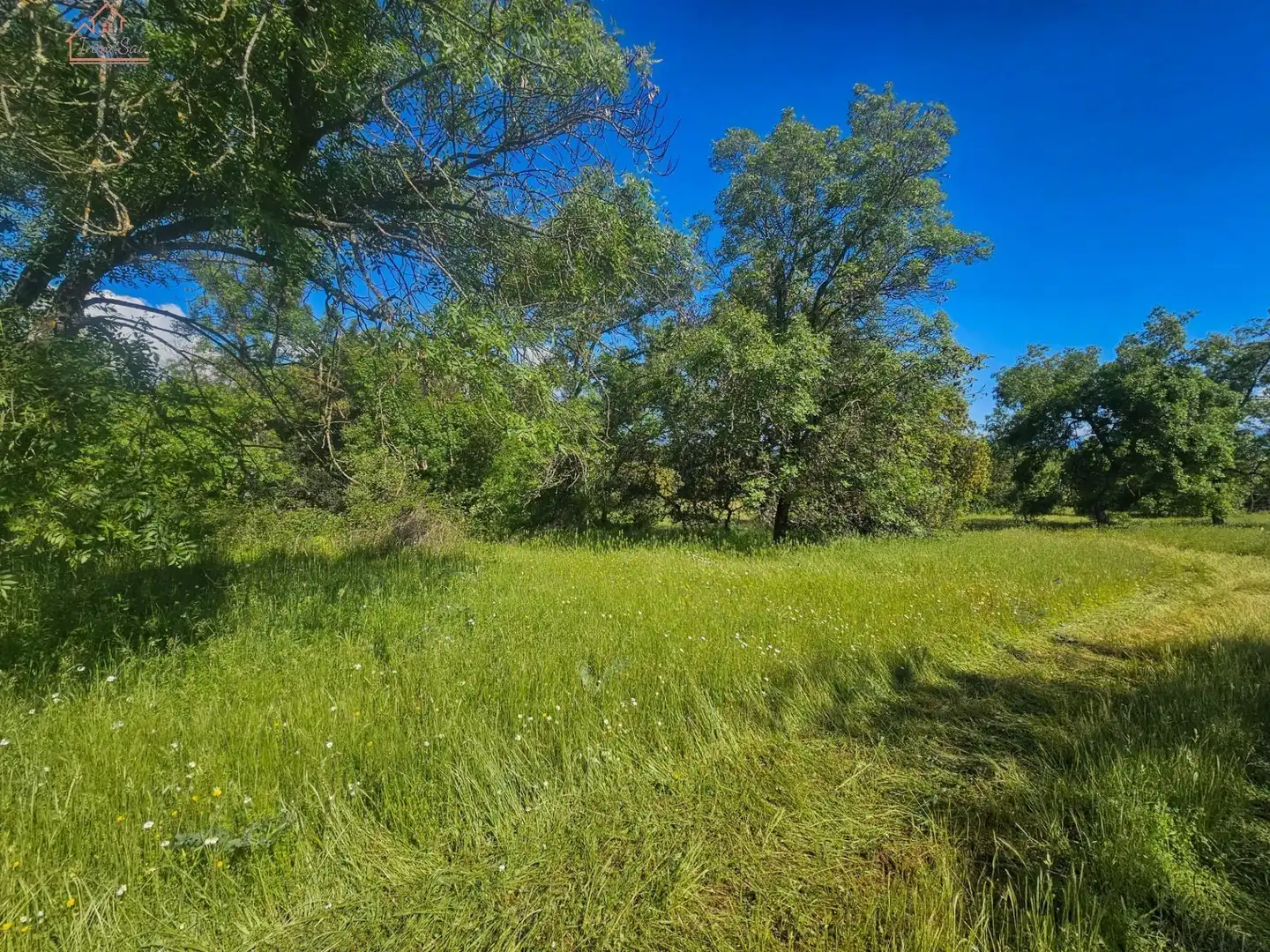 Terreno rustico in vendita a Valdemorillo pueblo, imagen 2