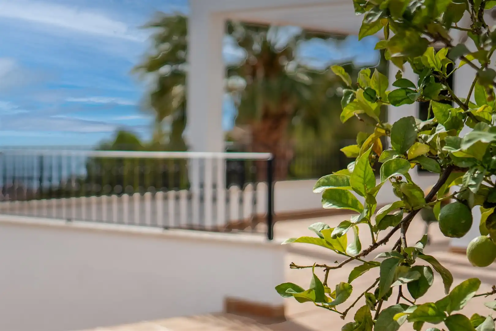 Terrassa de Casa o xalet en venda en Málaga amb Terrassa