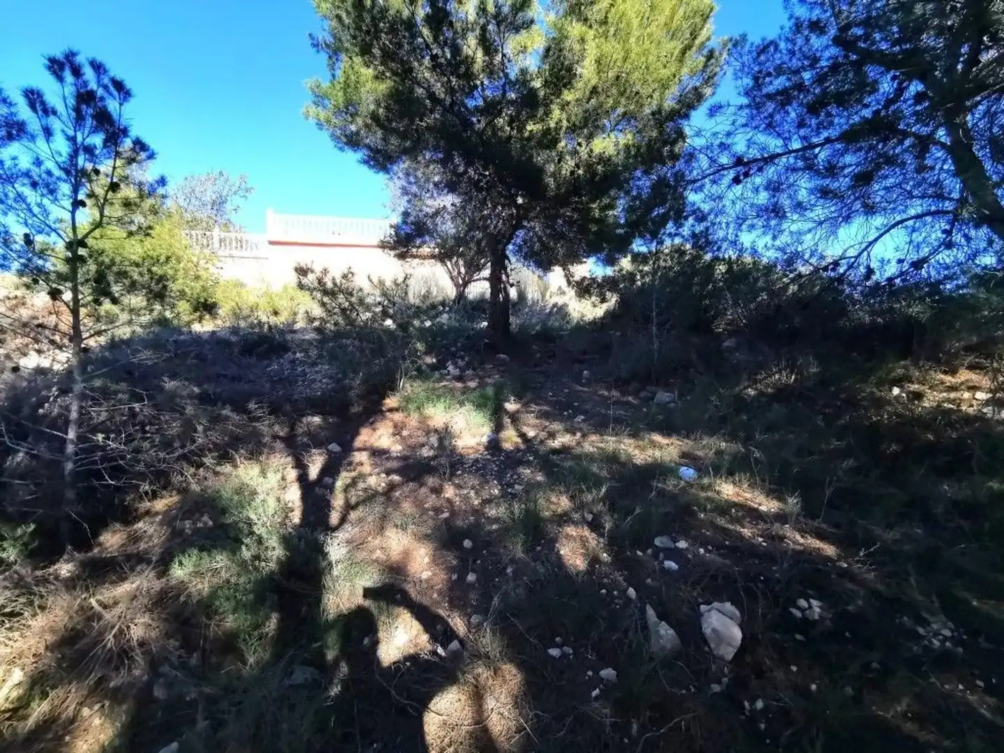 Residencial en venda en Pedralba