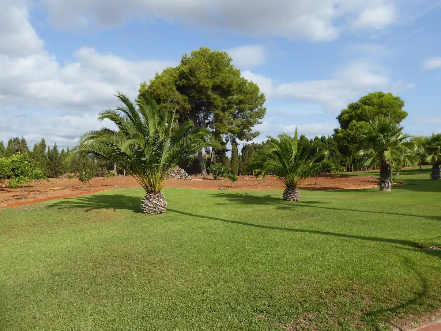 Jardí de Casa o xalet en venda en Alcalà de Xivert amb Calefacció, Jardí privat i Piscina