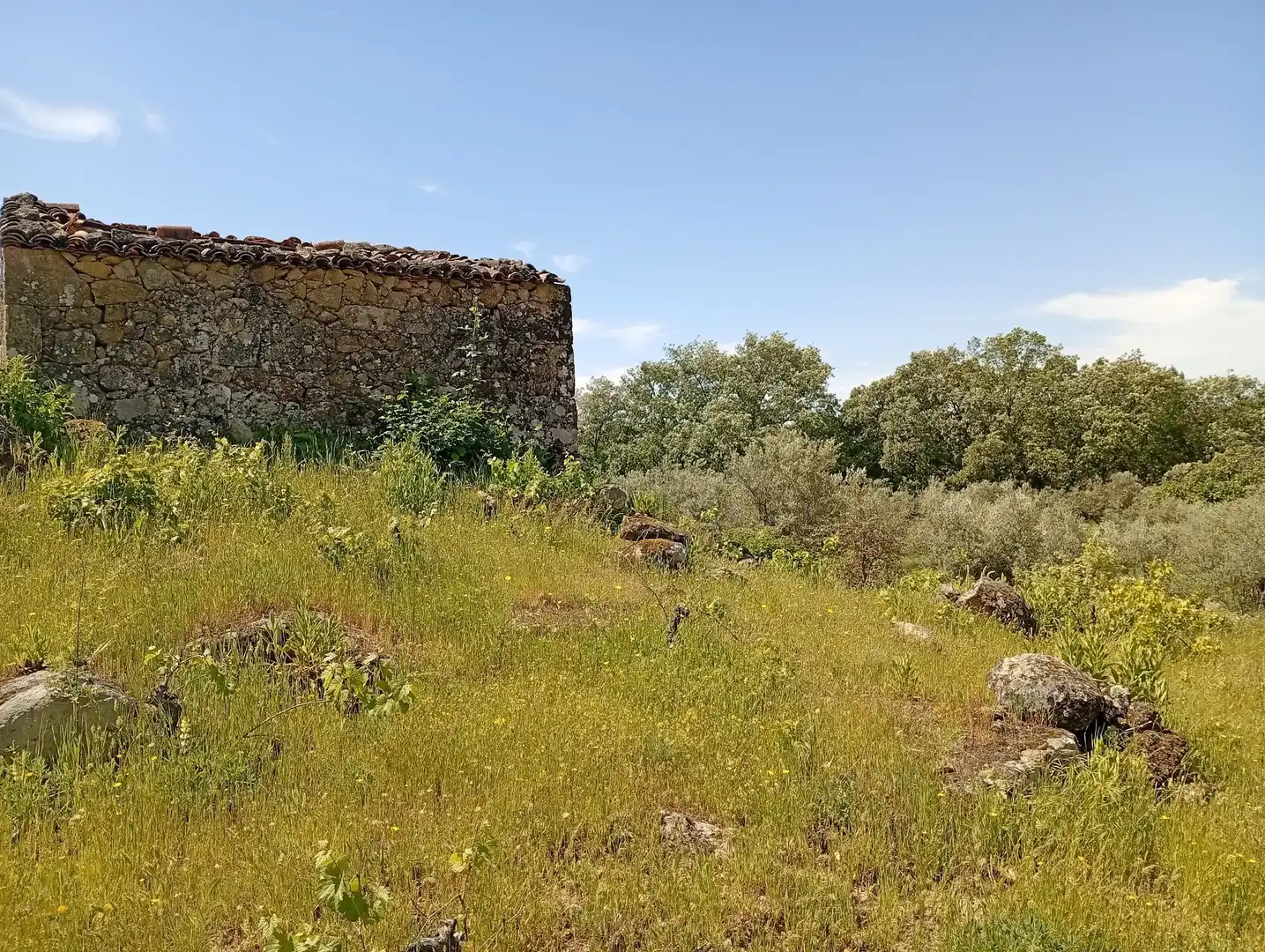 Terreni e lotti in vendita a Villanueva de la Vera, imagen 13