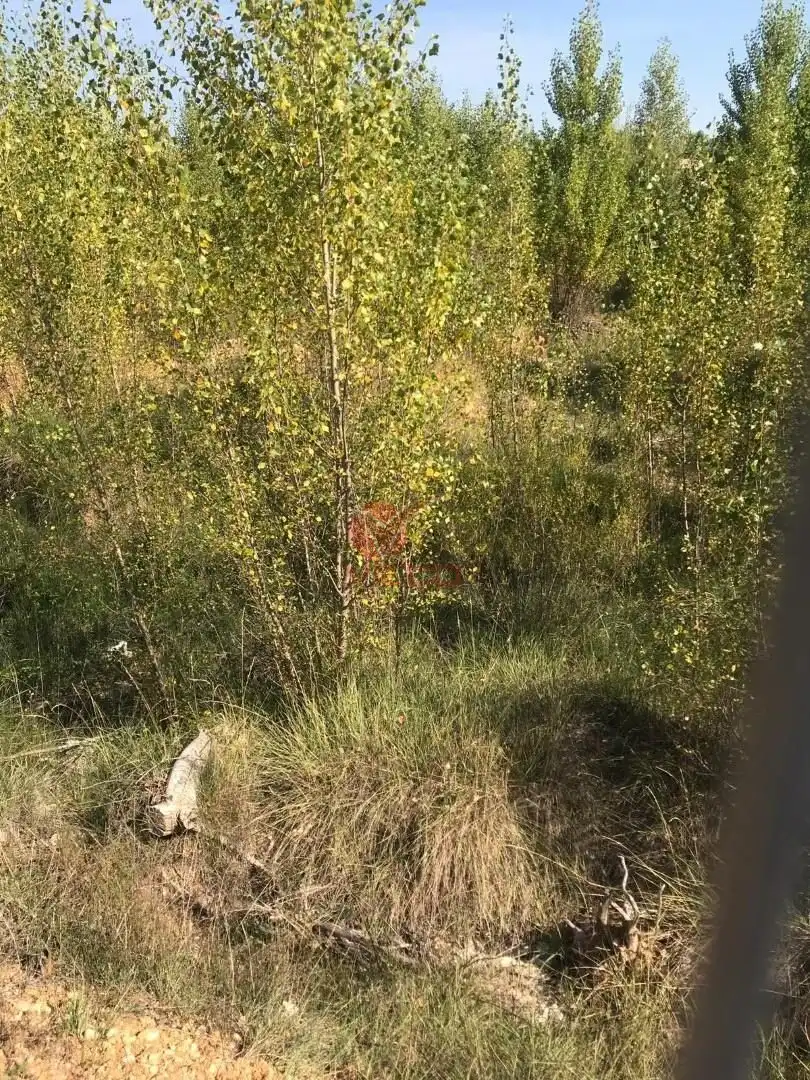 Terreno en venta en Villalba de la Sierra