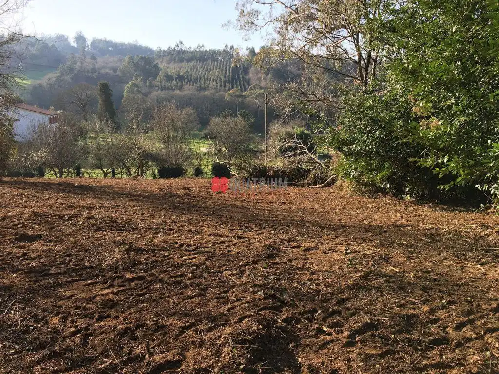 Casa o xalet en venda en Santiago de Compostela  amb Jardí privat