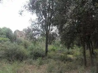 Casa rústica en venda a Llinars del Vallès