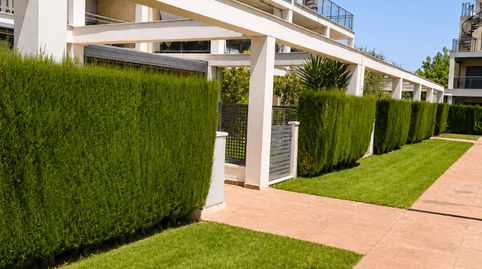 Apartamento en Urbanizacion Panoramica, imatge 3