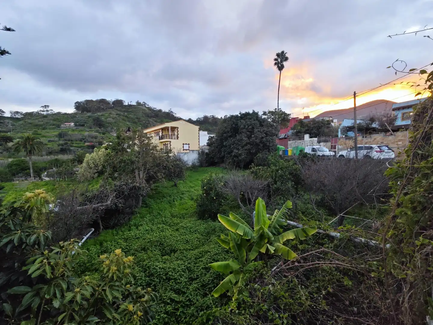 Casa o chalet en venta en Calle EL LOMO, 1, El Palmar