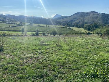 Lands and plots for sale in Barrio Gaztelua