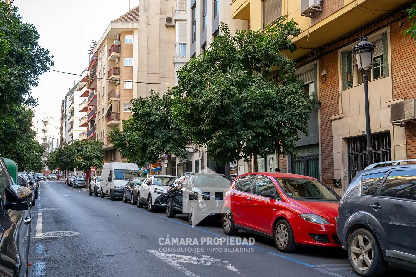 Locale commerciale in vendita a Calle la Palma, imagen 33