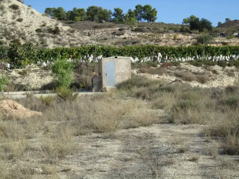 Terreny rústic en venda a La Romana, imagen 4