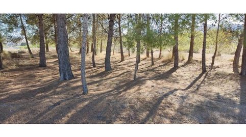 Terreno en venta en Isso, imagen 4