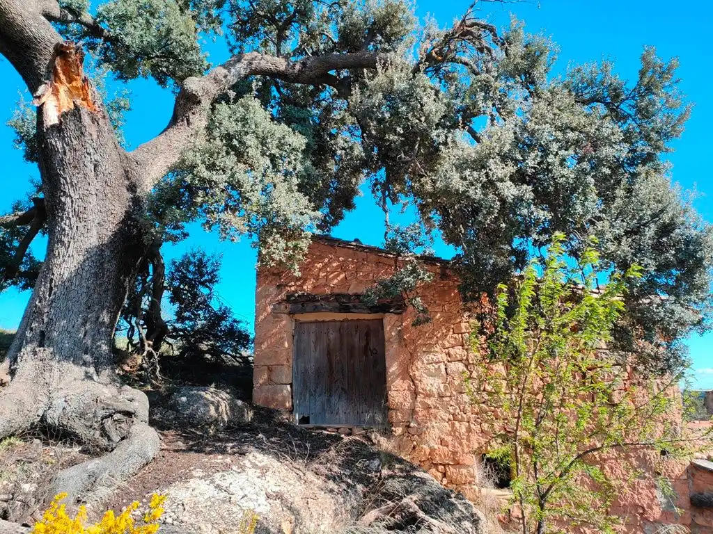 Terreni e lotti in vendita a Ráfales, imagen 3