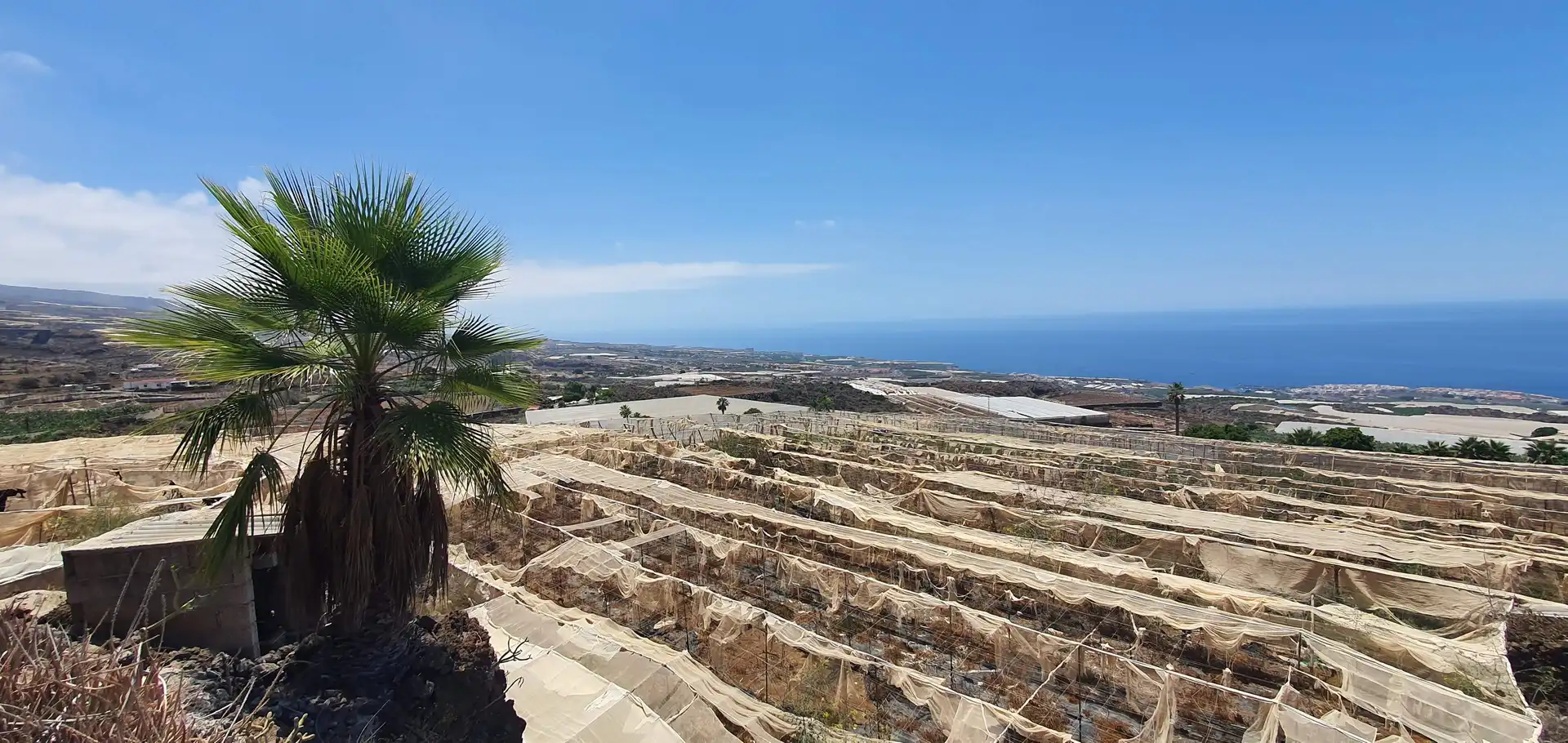 Terreny rústic en venda a Playa de San Juan, imagen 13