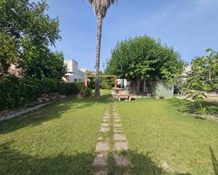 Garden of House or chalet for sale in Gandia  with Terrace