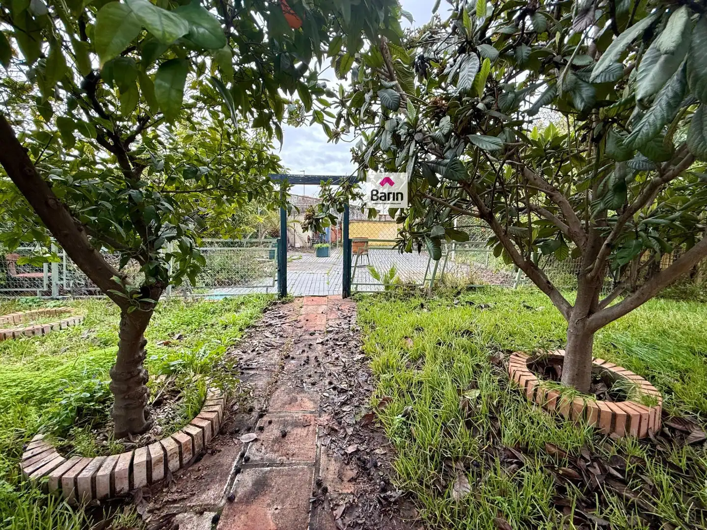 Jardí de Casa o xalet en venda en Córdoba amb Jardí privat, Terrassa i Traster