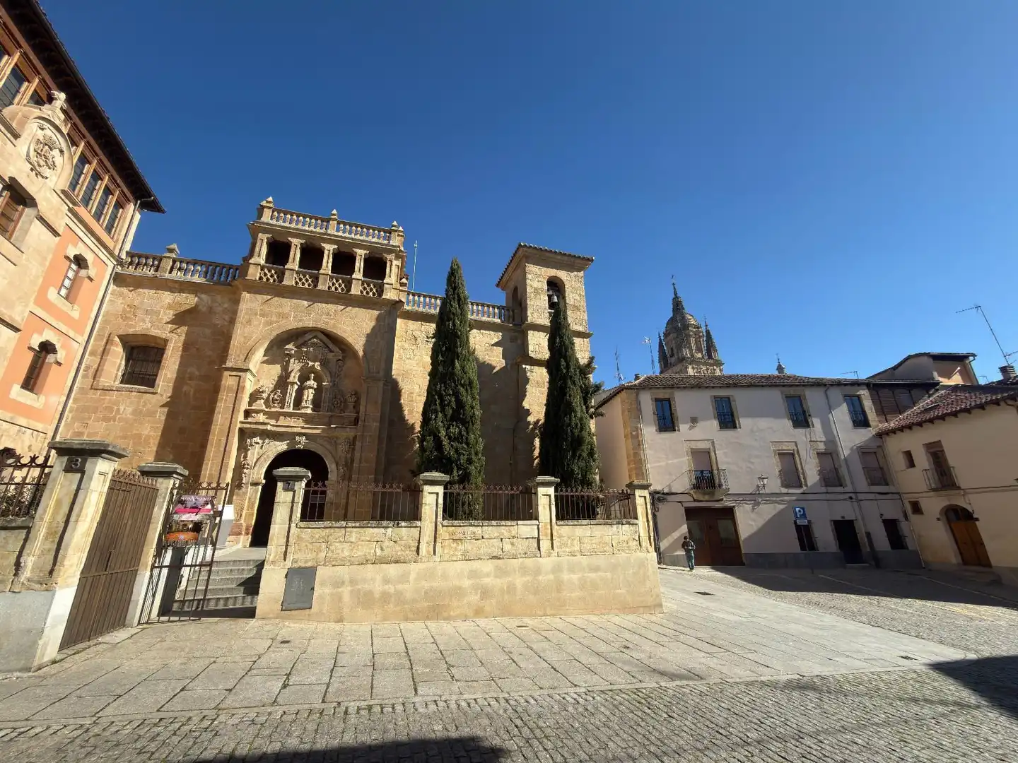 Vista exterior de Casa o chalet en venta en Salamanca con Calefacción, Jardín privado y Terraza