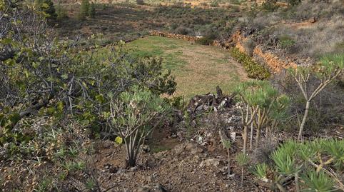 Foto 3 von Grundstücke zum Verkauf in Charco del Pino, Granadilla de Abona