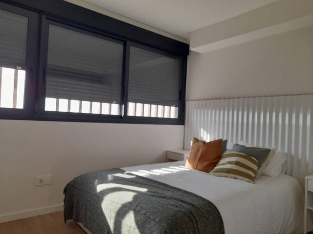 Estudio en Alquiler en Calle Avenida de los Jerónimos, 111 en Guadalupe