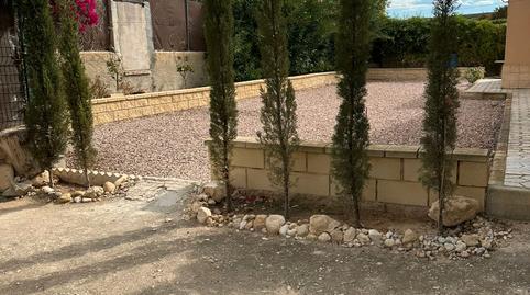 Foto 2 de Finca rústica en venda a Partida del Boch, 69, Crevillent, Alicante