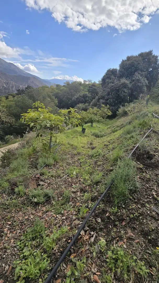 Terreno rustico in vendita a Polígono 11 Parcela 122 EL CERRILLO. LOS GUAJARES (GRANADA), imagen 9