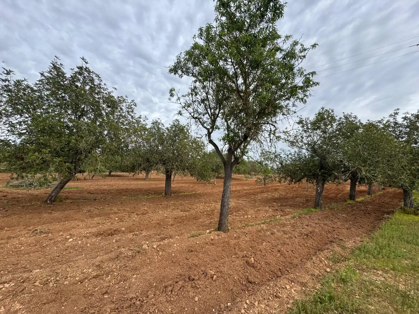 Rustikales Grundstück zum Verkauf in Camino Camí Vell de Porreres 2, imagen 34