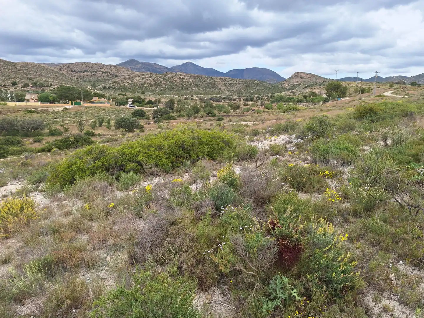 Terreny en venda en Alicante / Alacant