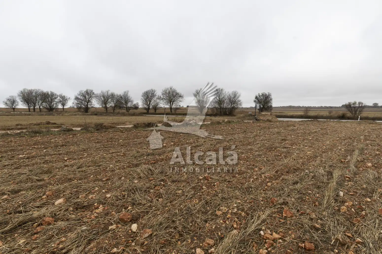 Rural land for sale in Pezuela de las Torres, imagen 18
