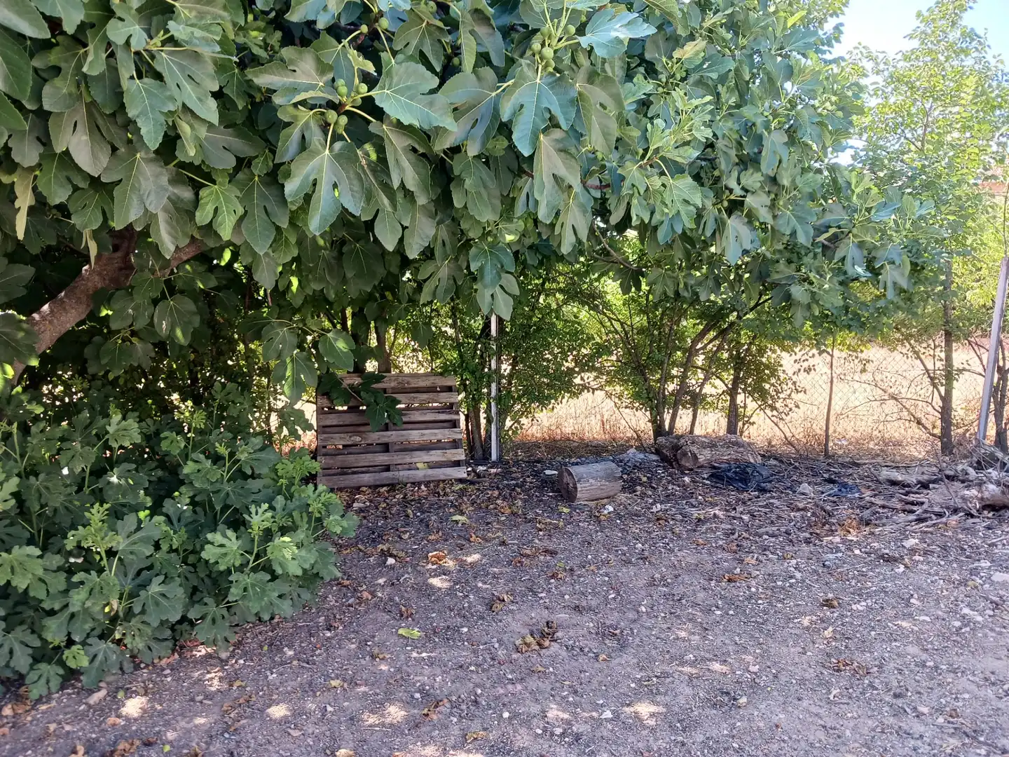 Finca rústica en venta en Ciudad Real con Amueblado
