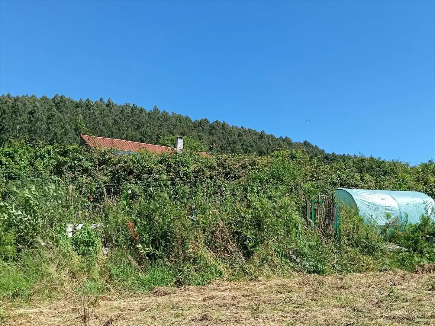 Piso en venta en Bermeo con Jardín privado, Parquet y Balcón