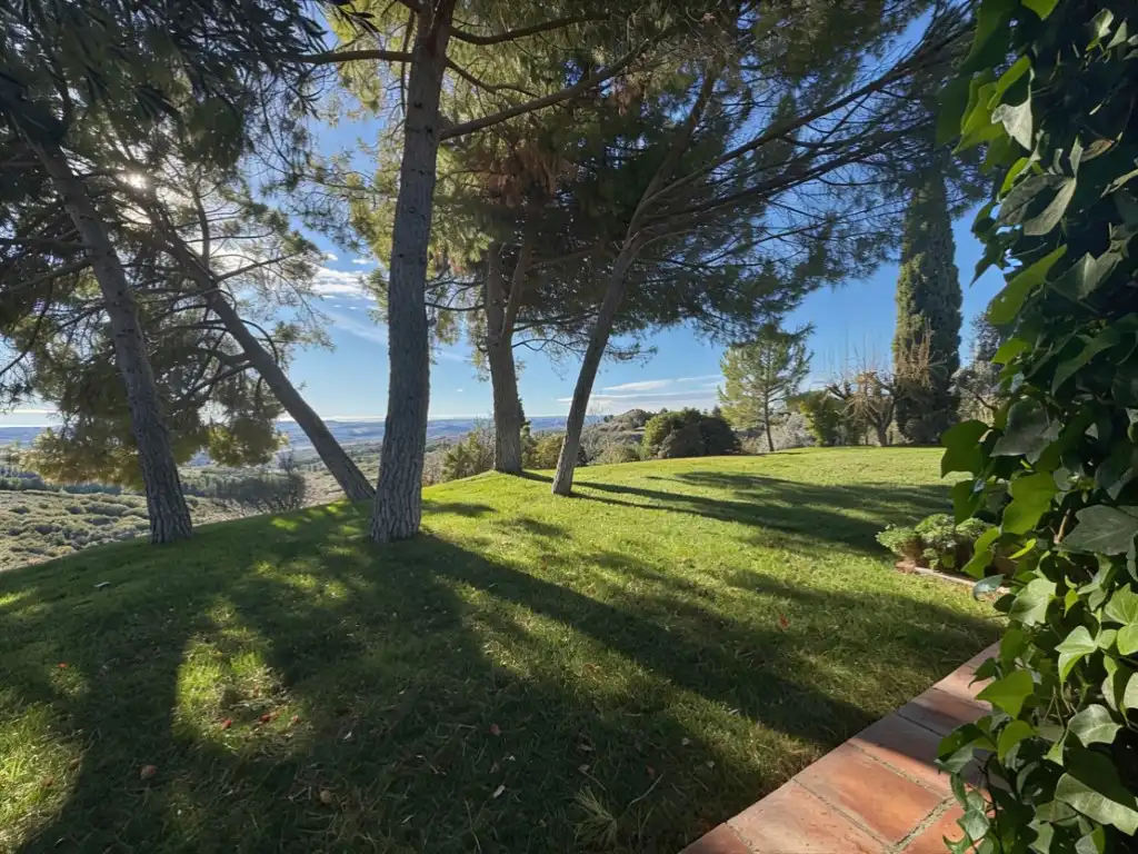 Jardín de Casa o chalet en venta en Chinchón con Jardín privado, Terraza y Piscina