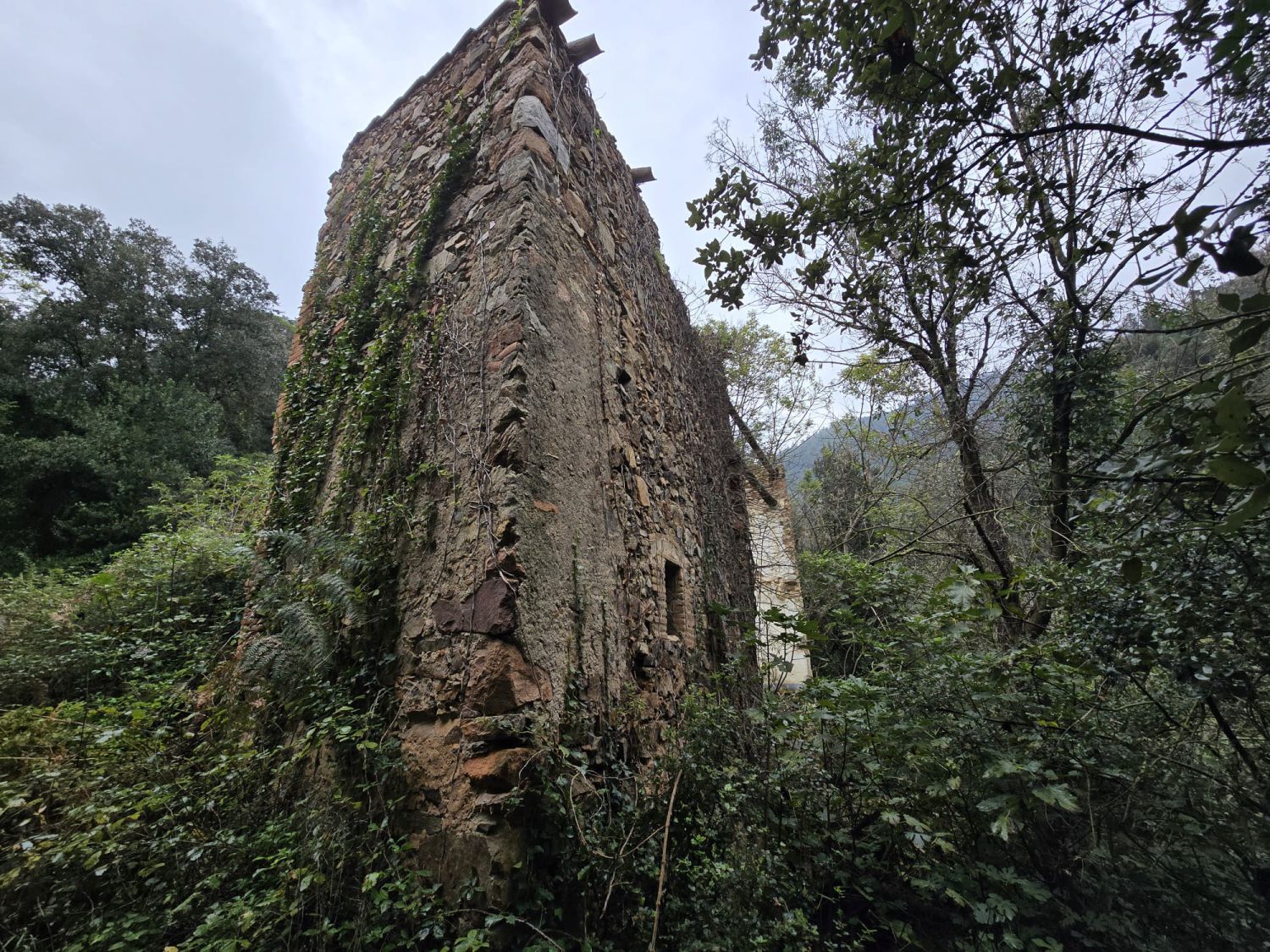 Exterior view of Country house for sale in Susqueda