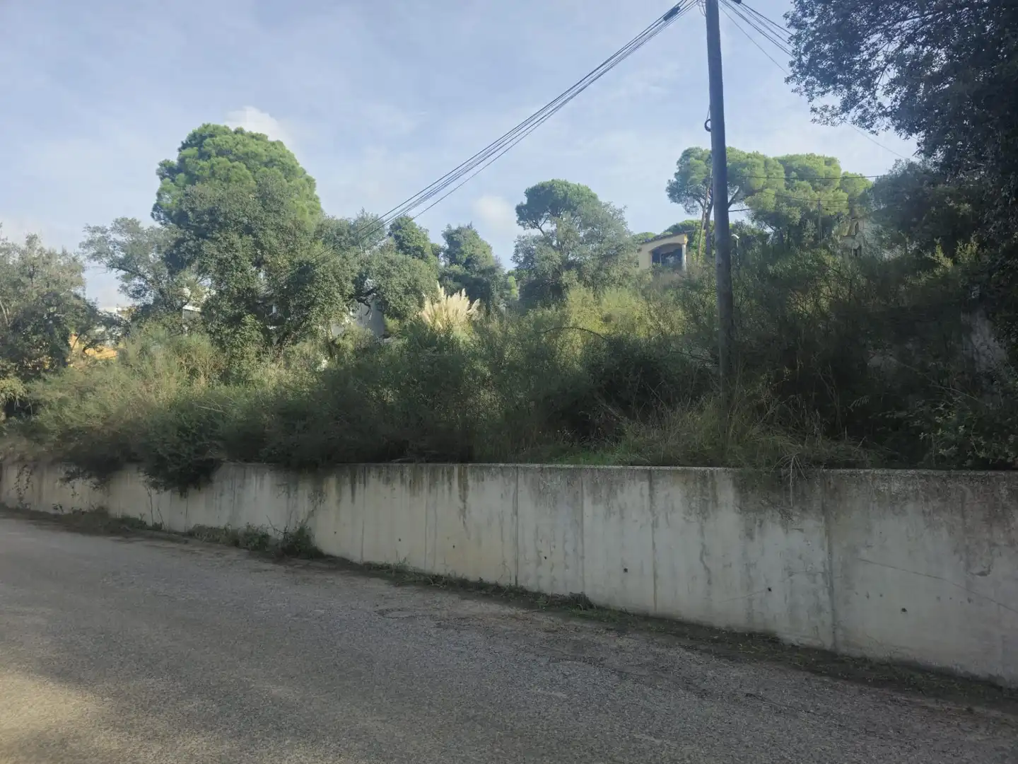 Terrain résidentiel à vendre à Alzina 13, imagen 10