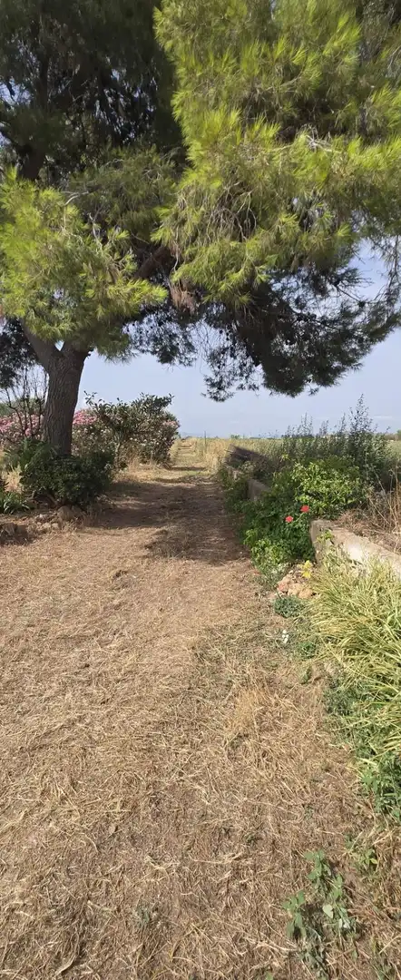 Finca rústica en venda en Vinaròs