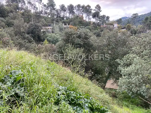 Terreno residencial en venta en La Floresta, imagen 10