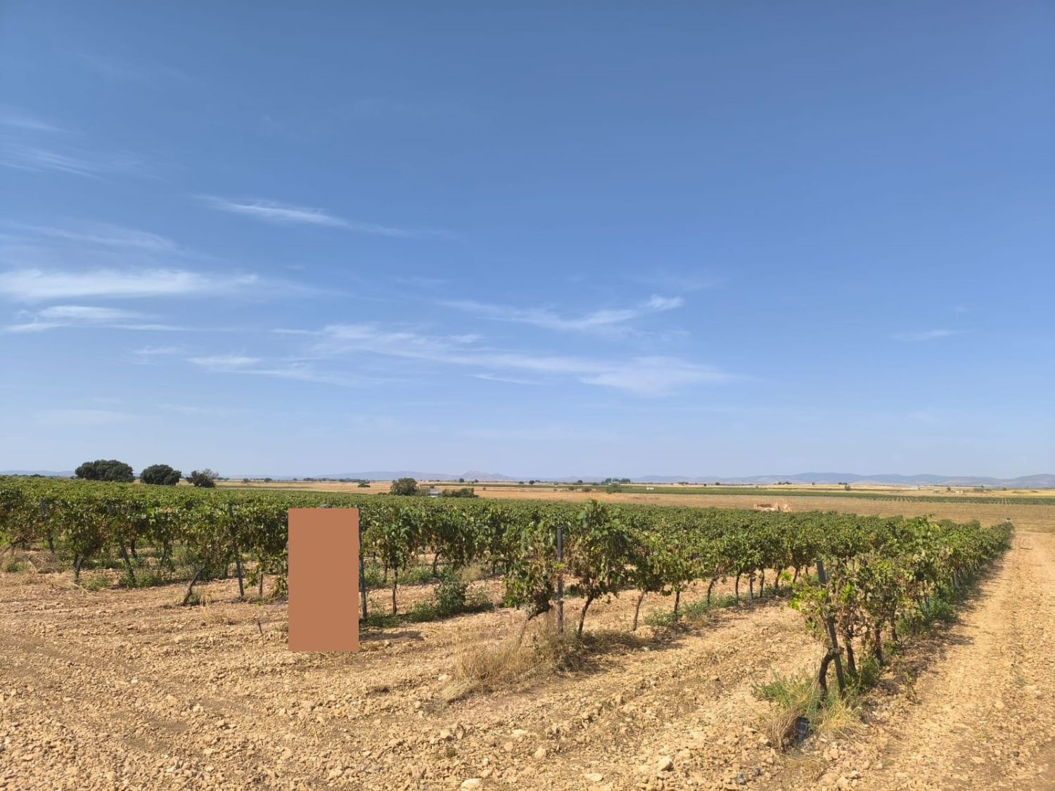 Finca rústica en venda en Torralba de Calatrava