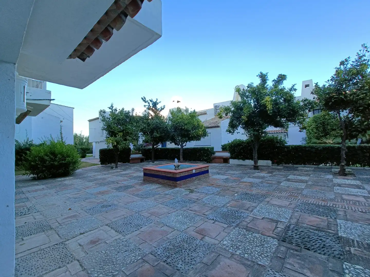 Jardí de Local en venda en Estepona
