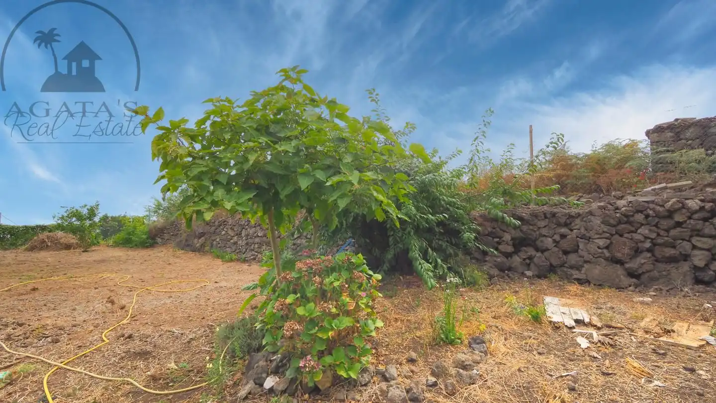 Casa con jardín en venta en La Vega - El Amparo - Cueva del Viento, imagen 49