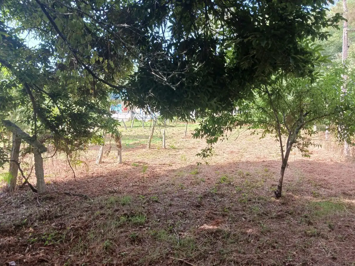 House for sale in San Roque, imagen 12