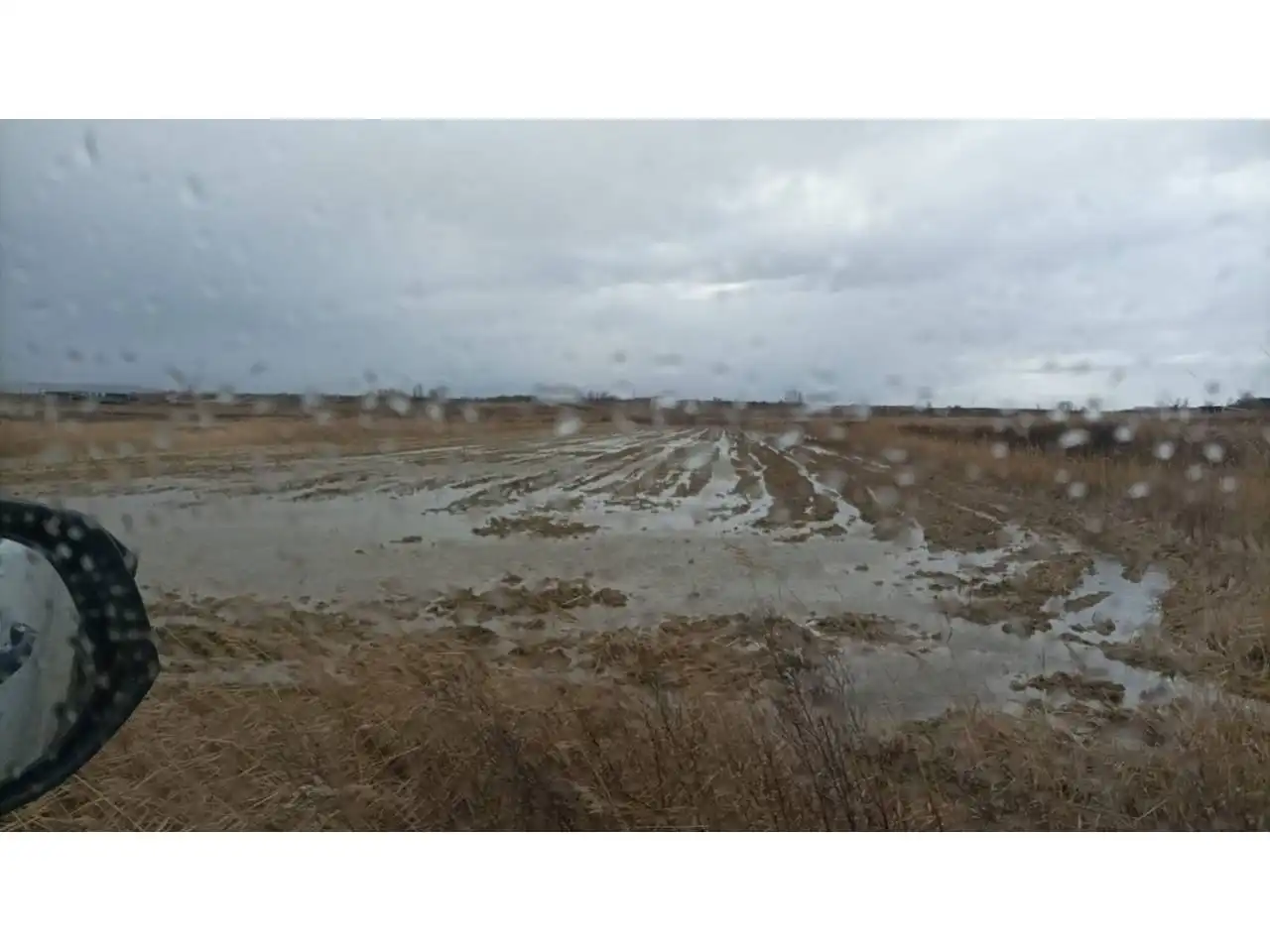 Land for sale in Alcolea de Cinca