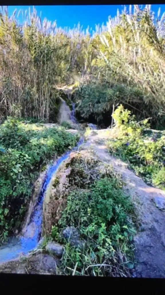 Terreni e lotti in vendita a Vejer, imagen 8