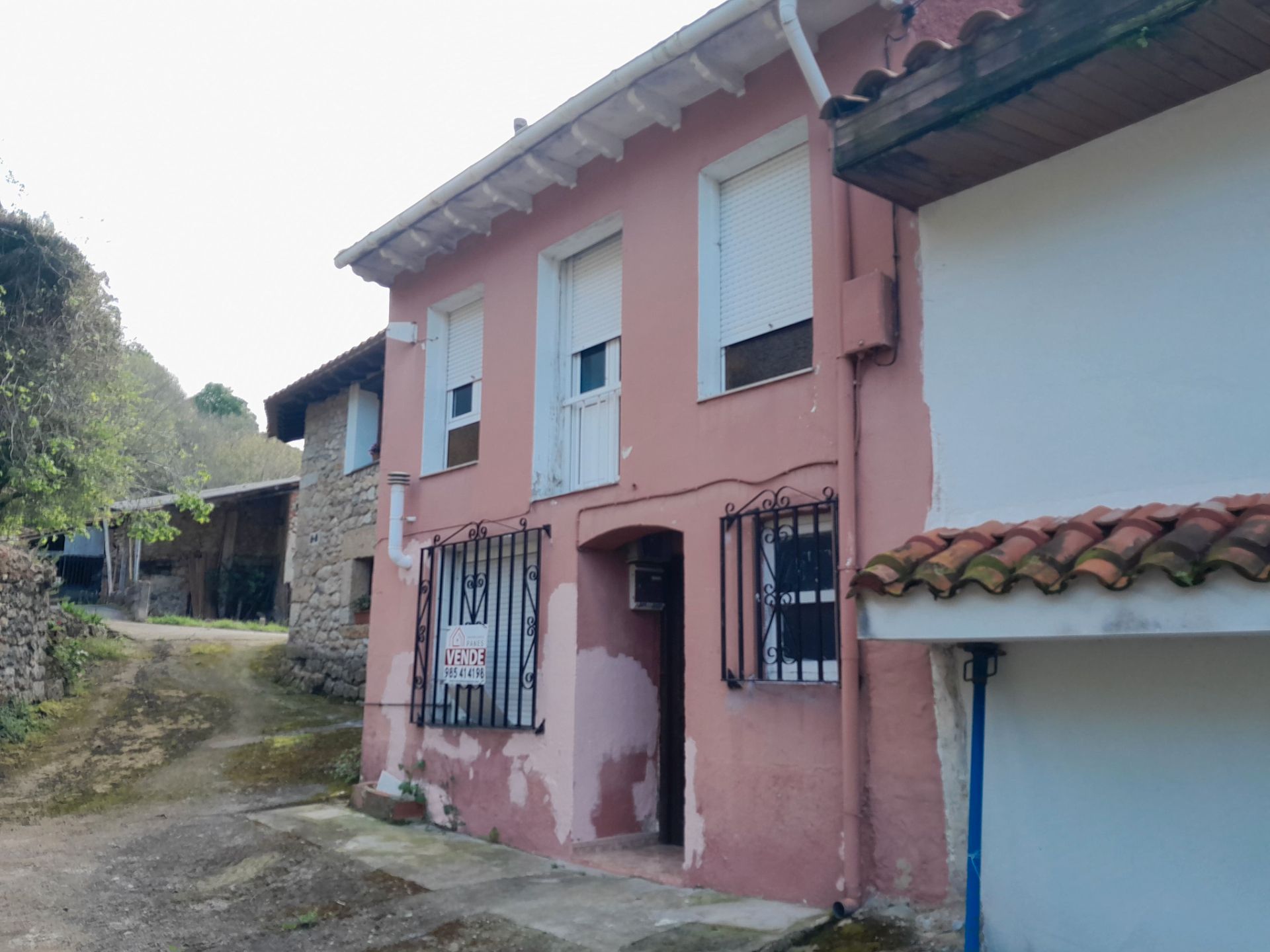 Vista exterior de Casa adosada en venda en Peñamellera Baja