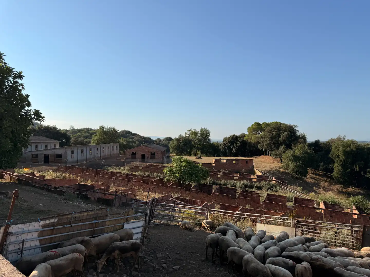 Vista exterior de Finca rústica en venda en Vilobí d'Onyar