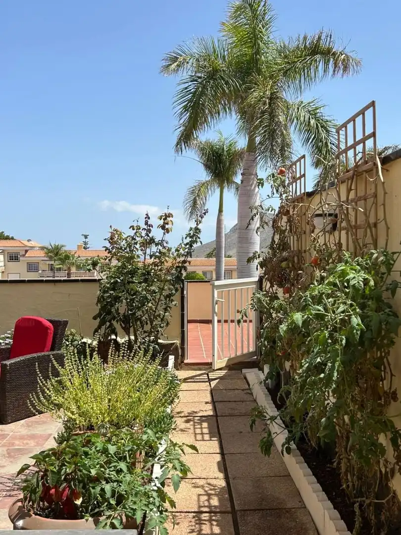 Terrace of Flat for sale in Arona  with Community pool