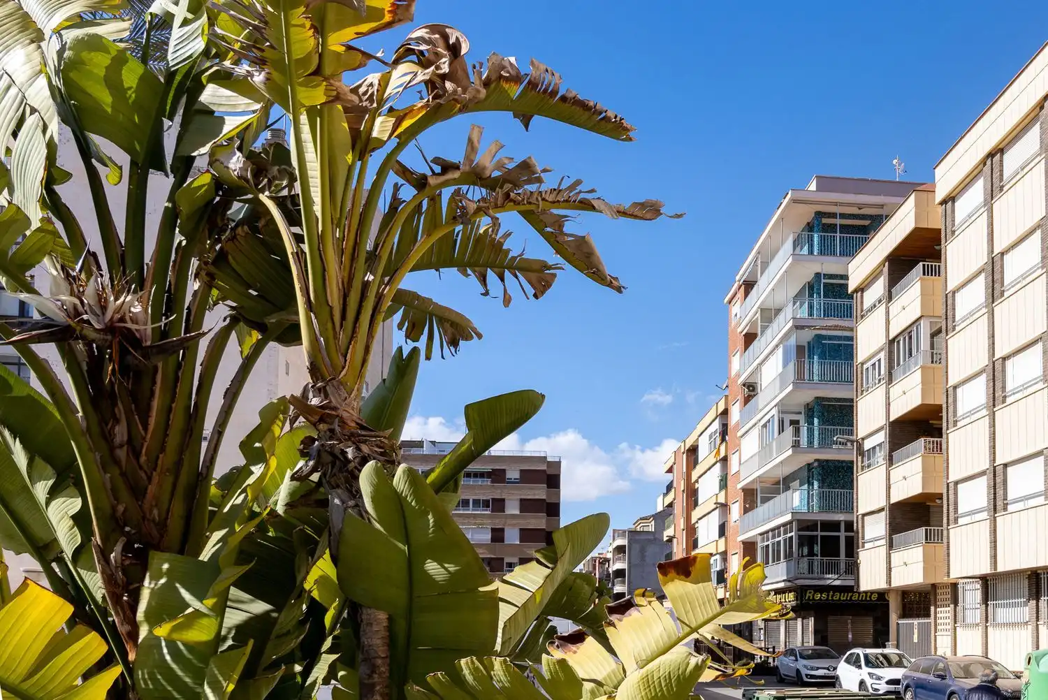 Apartament amb terrassa en venda a Calle Ramón y Cajal 25, imagen 37