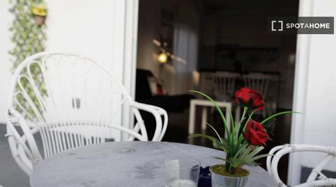 Photo 2 of Study to share in San Antón, Alicante