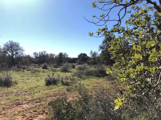 Terreno en Venta en Porreres
