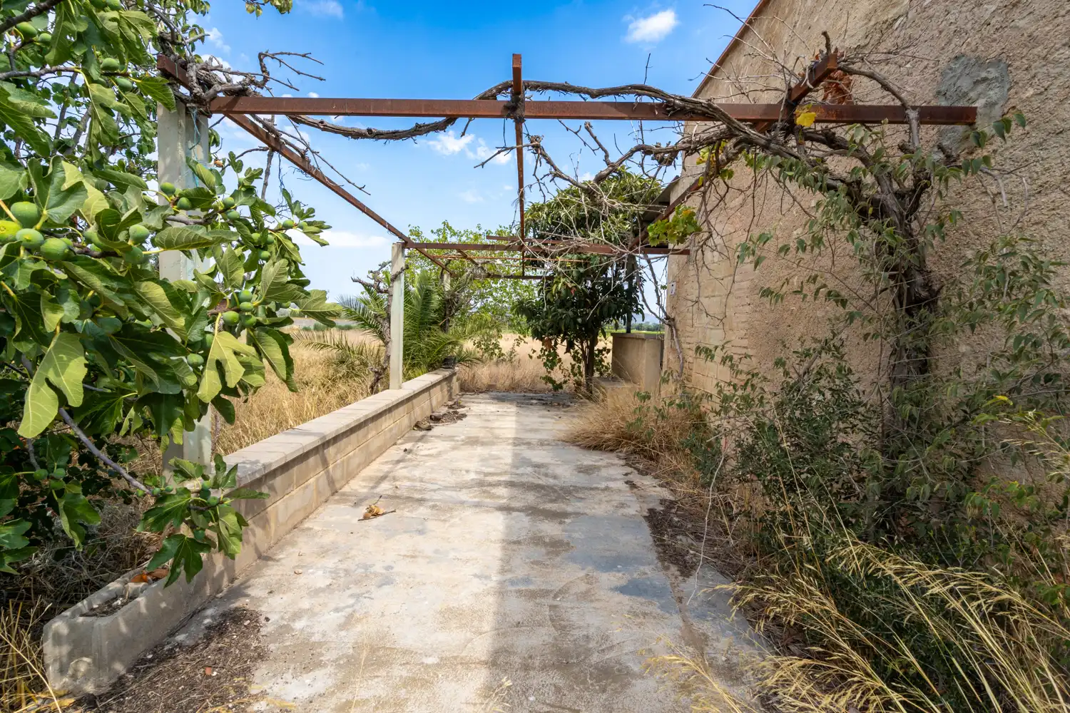 Rural land for sale in Ginestar, imagen 8